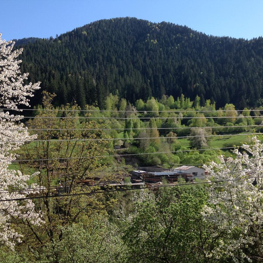 Guest Rooms Waterfall Smolyan Extérieur photo